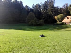 Rasenroboter_Guru_Rasenroboter_Husqvarna_Grossflaechen